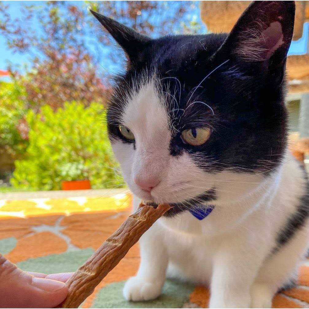 Chicken Cat Treats A410