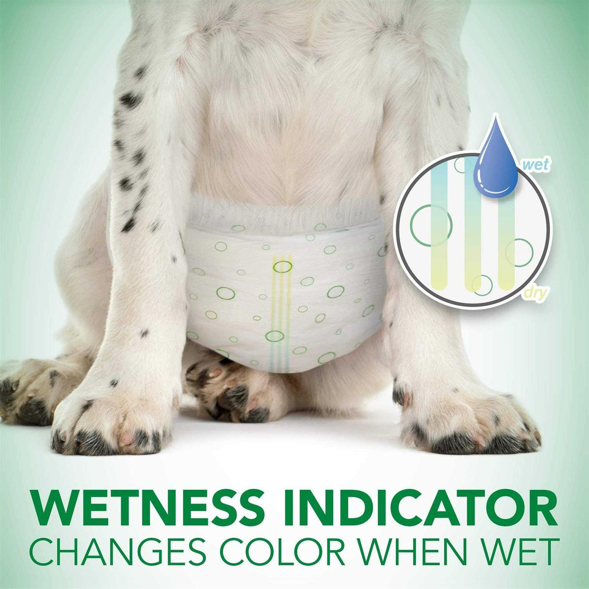 Disposable Female Dog Diapers J923