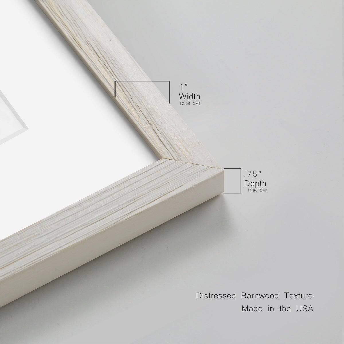 Walnut Framed Print O52914