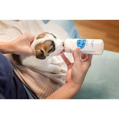 Puppy Milk Replacement Powder H85666