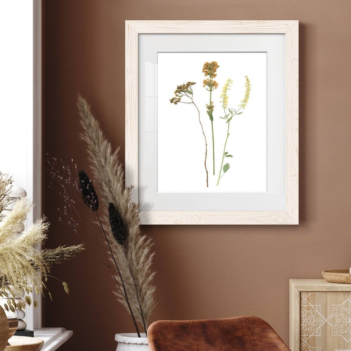 Walnut Framed Print O52914