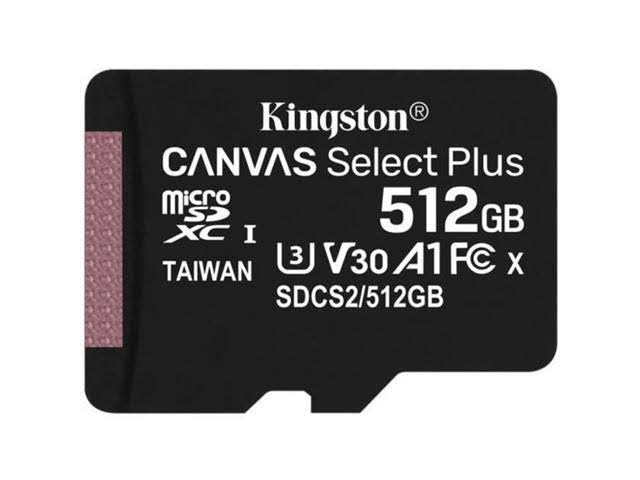 512 GB MicroSDXC Memory Card with SD Adapter W264