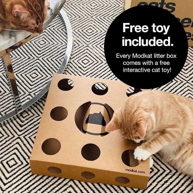Litter Box V17834