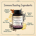 Vegetarian Elderberry Syrup Bites 40 Count F169