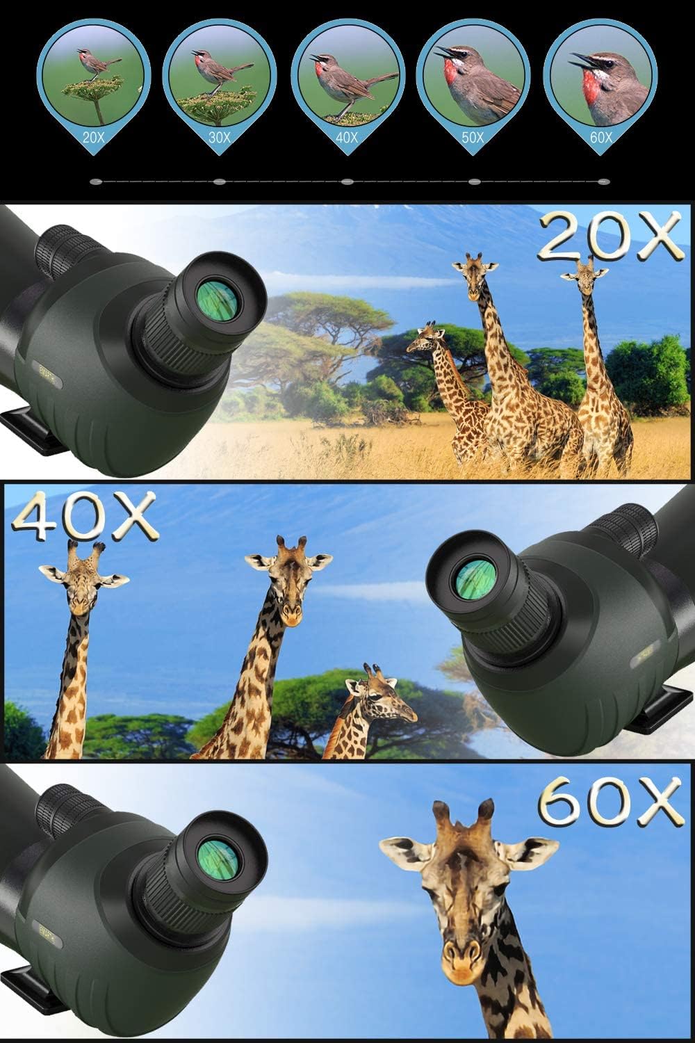 20-60x80 HD Spotting Scope with Tripod Y963
