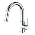 Chrome Kitchen Faucet F6713