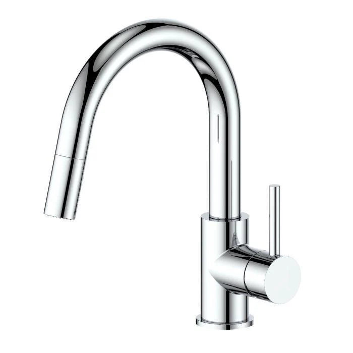 Chrome Kitchen Faucet F6713