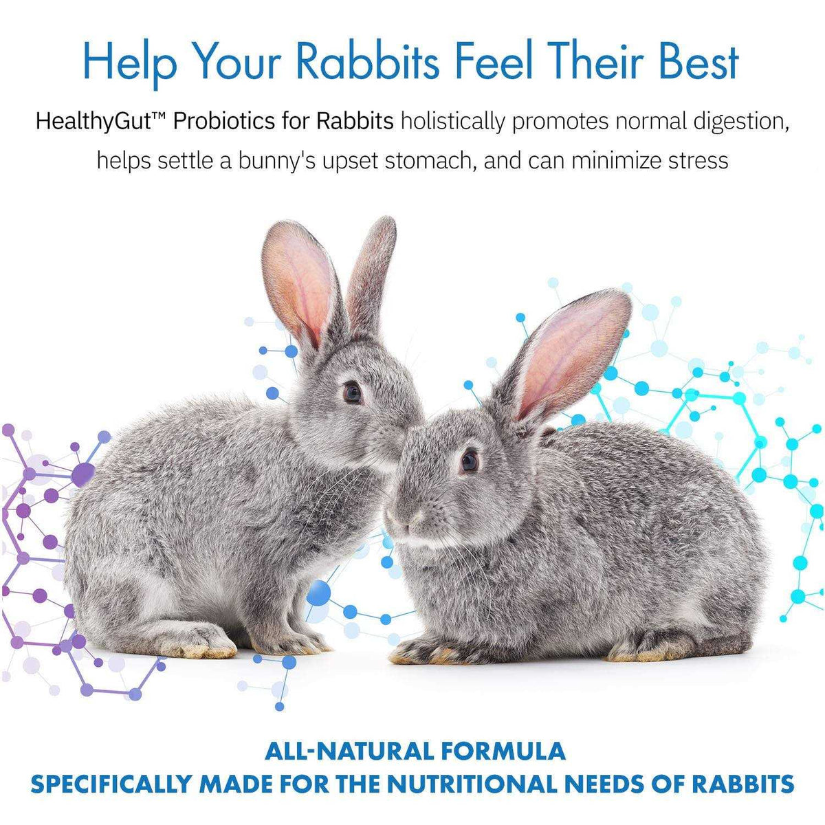 Probiotics Rabbit Supplement Q856560
