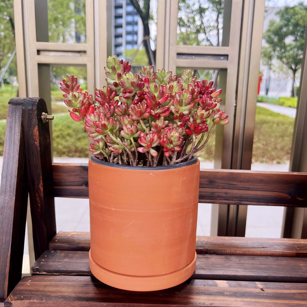 Terracotta Flower Pots, 3 Count with Drainage Holes E765726