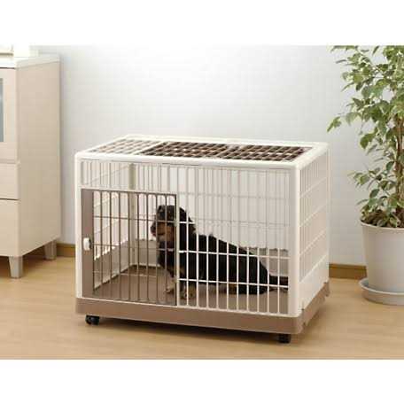 Pet Training Kennel V59080