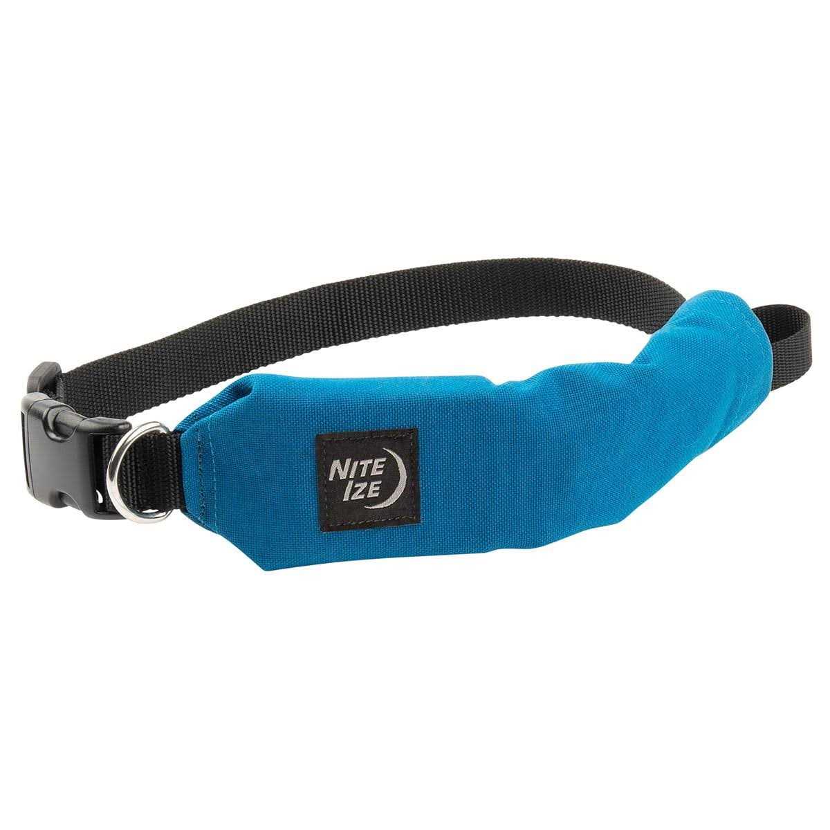 All-In-One Collar + Leash V403227