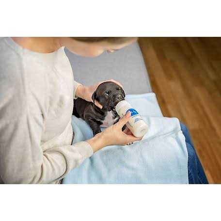 Puppy Milk Replacement Powder H85666