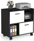 2 Drawer Wood File Cabinet with Wheels K627260