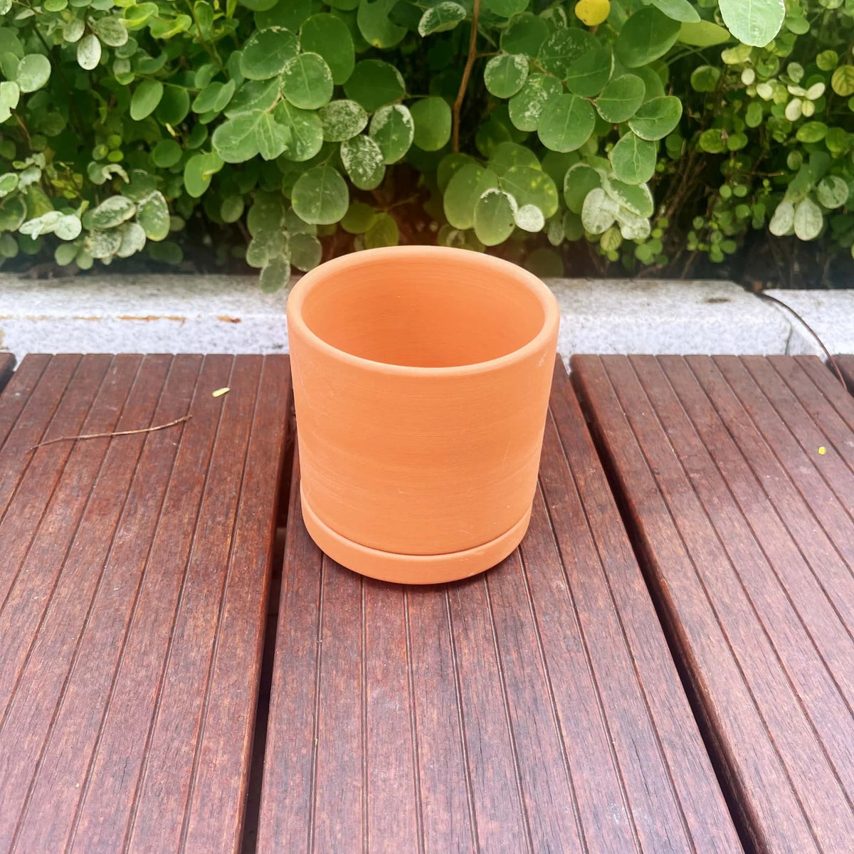 Terracotta Flower Pots, 3 Count with Drainage Holes E765726