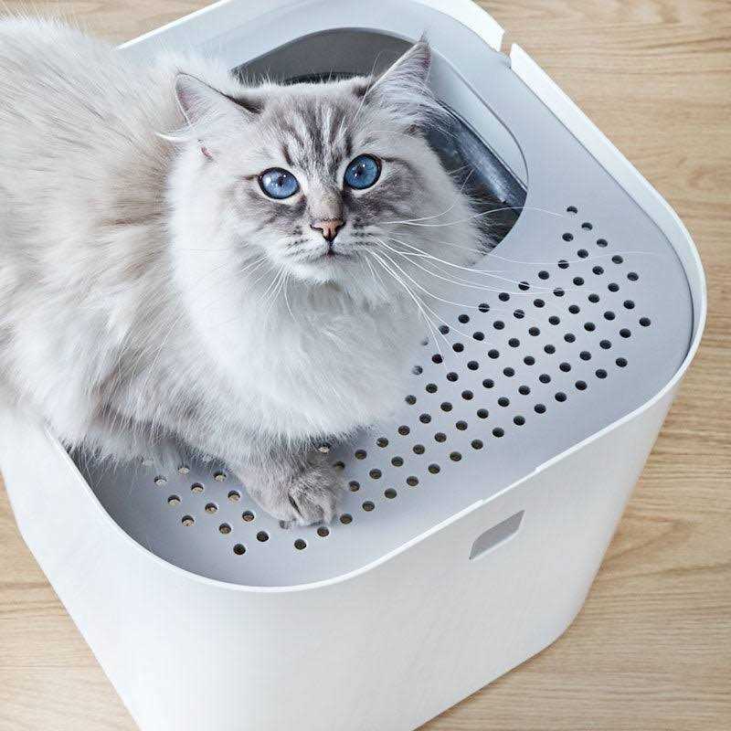 Litter Box V17834