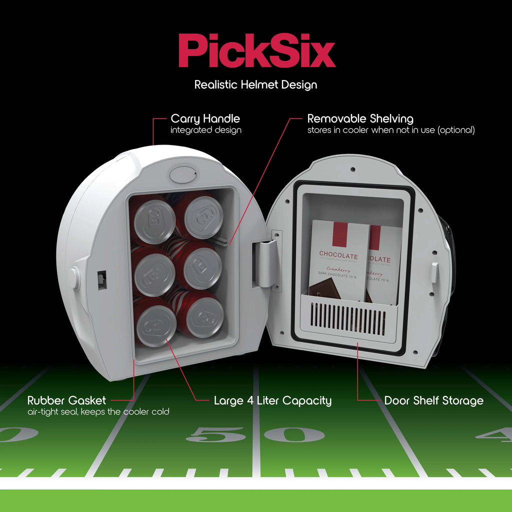 Portable Mini Fridge J563