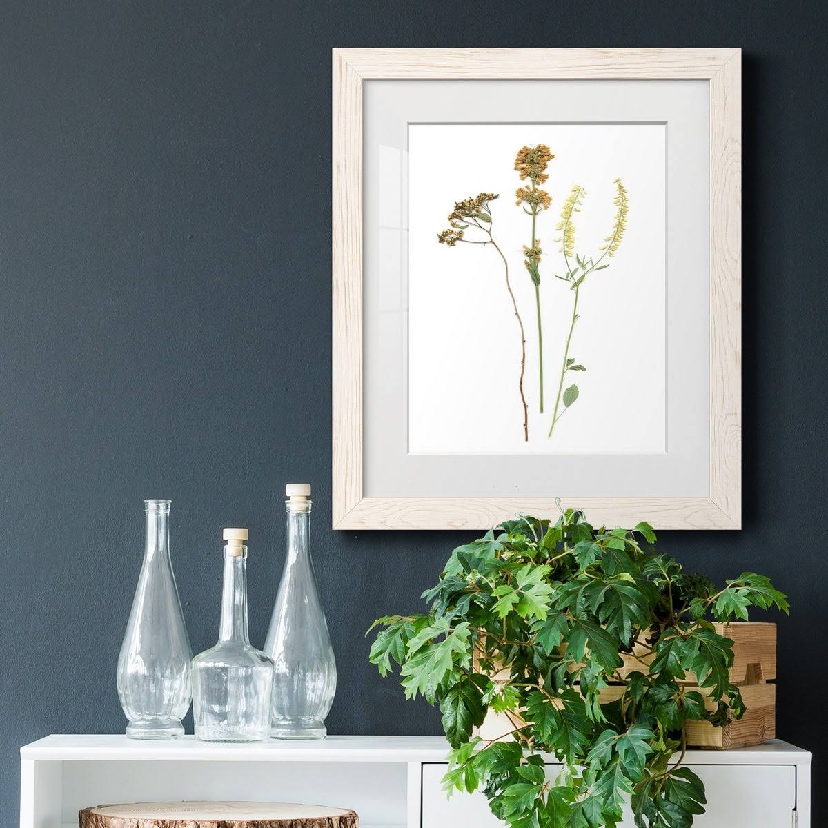 Walnut Framed Print O52914