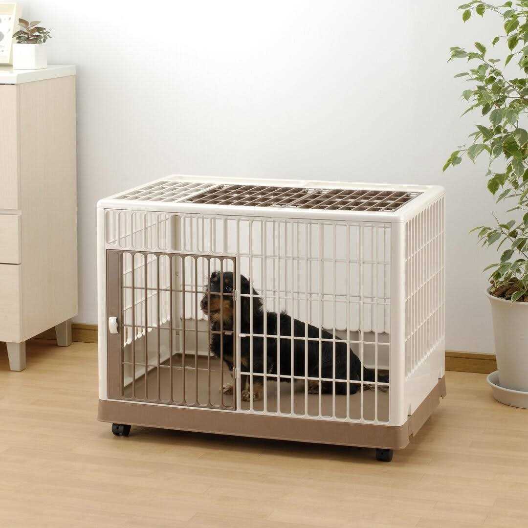 Pet Training Kennel V59080