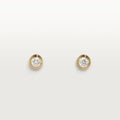 Earrings N2949