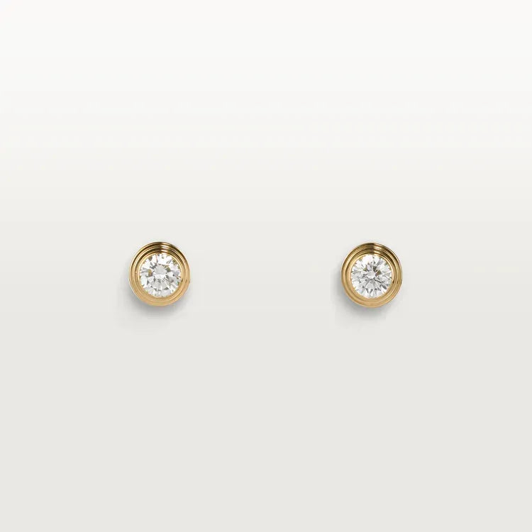 Earrings N2949