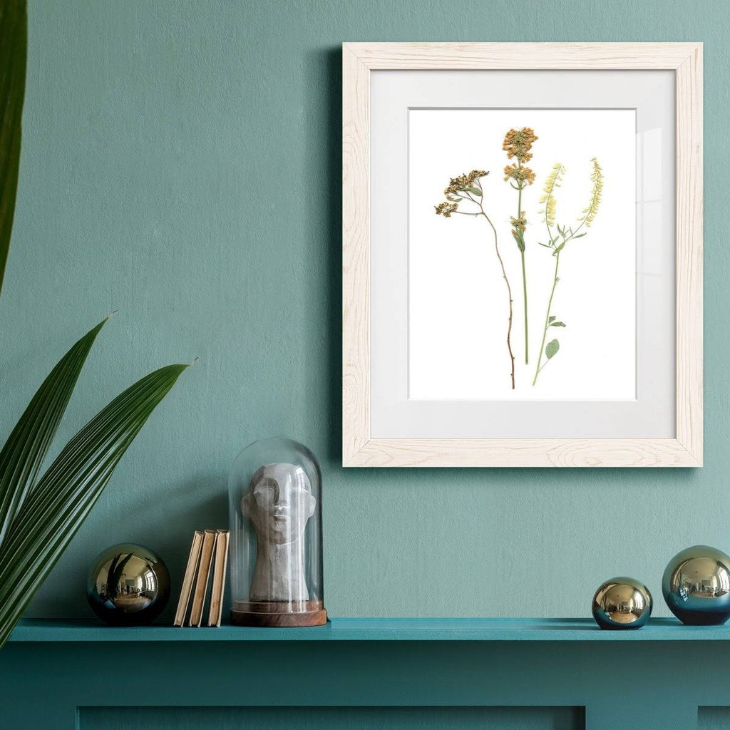 Walnut Framed Print O52914