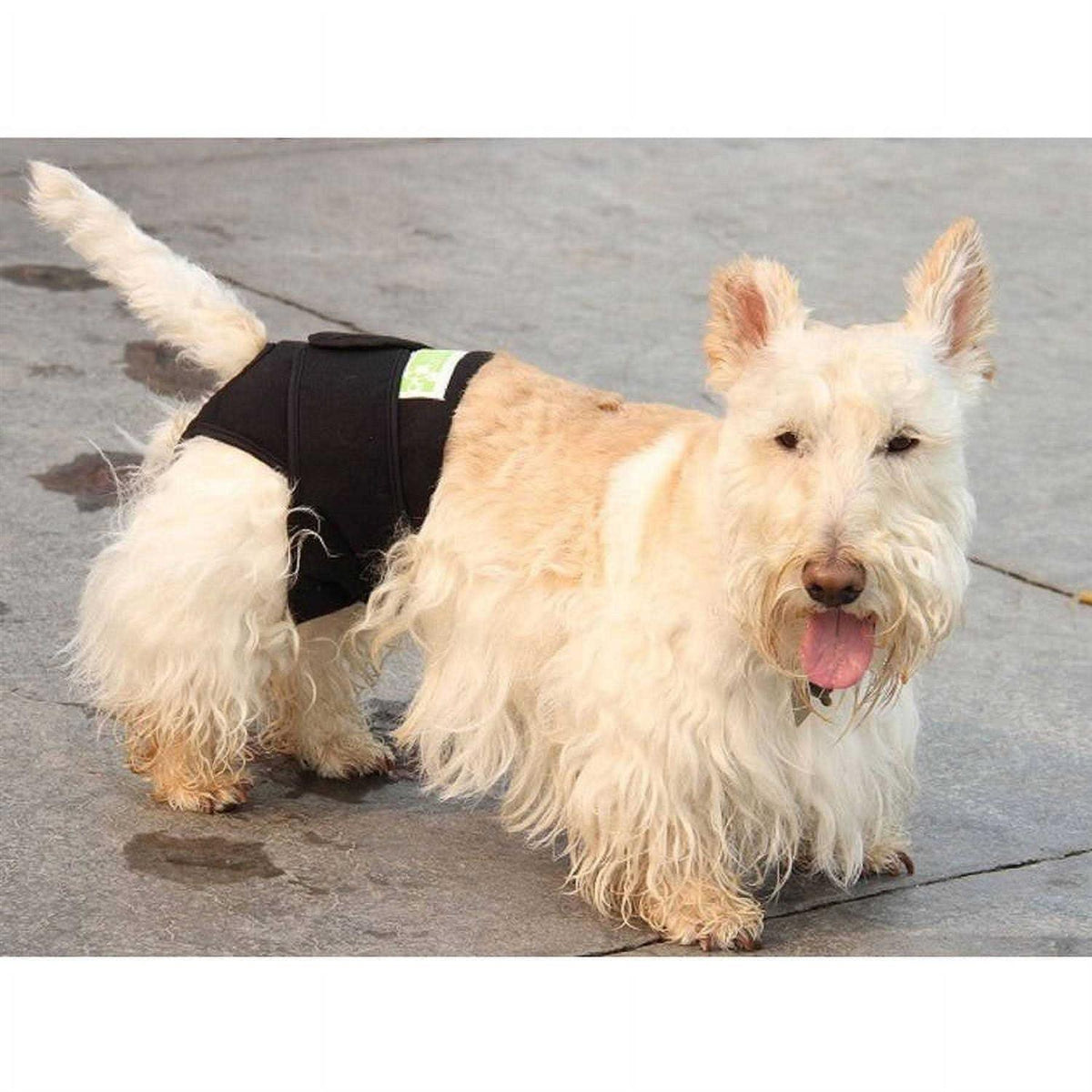 Dog Wrap F136